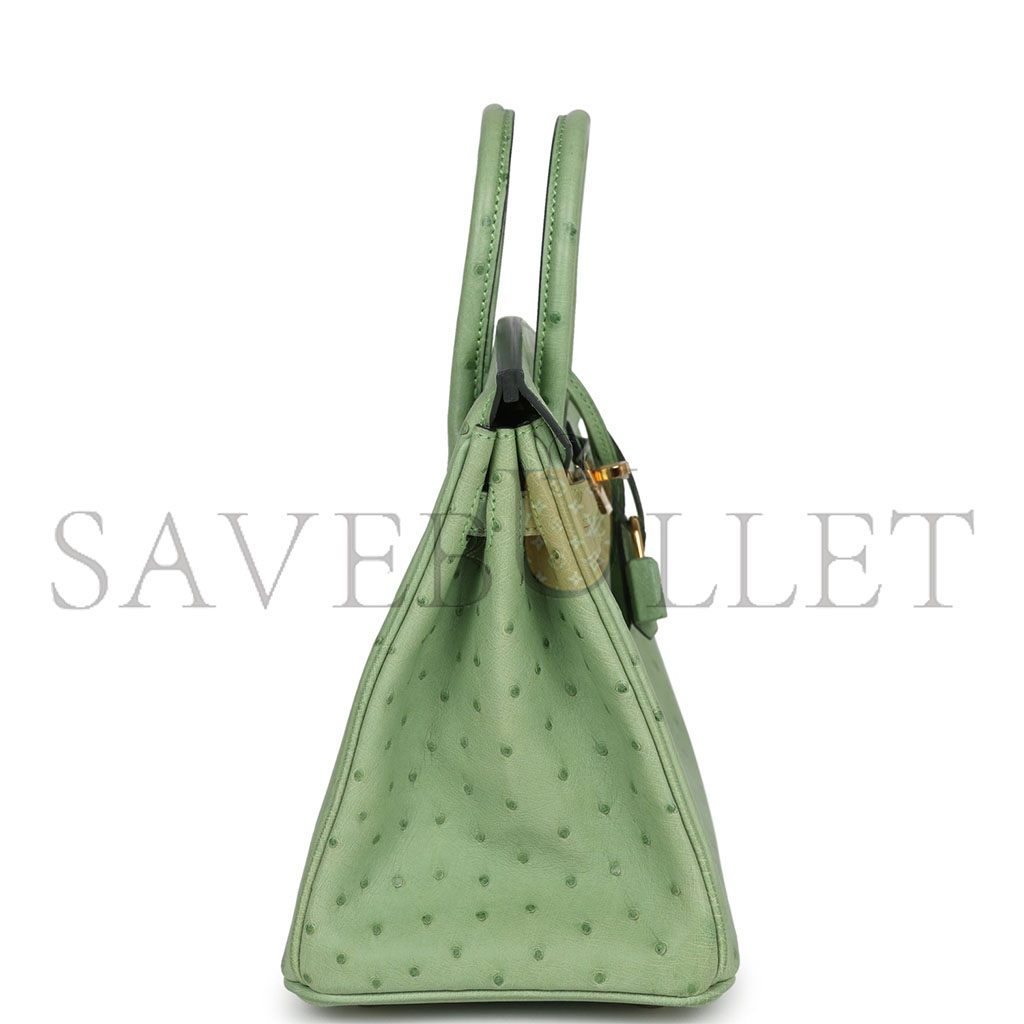 H**mes master birkin 30 decorated ostrich women