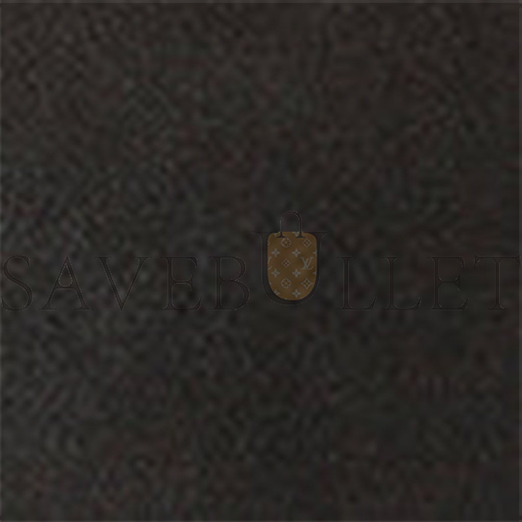 T*e R*w half moon bag in leather dark brown w1249l60dbp (34*20*6cm)