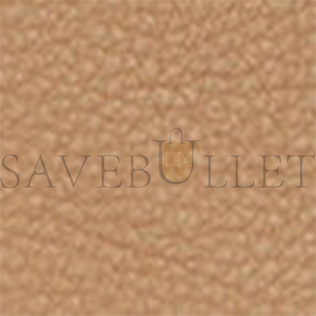 T*e R*w small ns park tote bag in leather cinnamon w1314l129cmon (25*22*12cm)